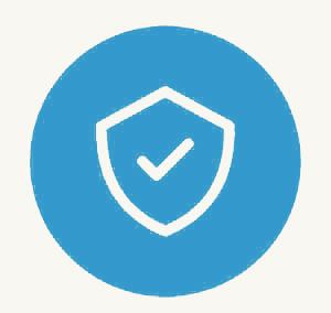 Check in shield icon